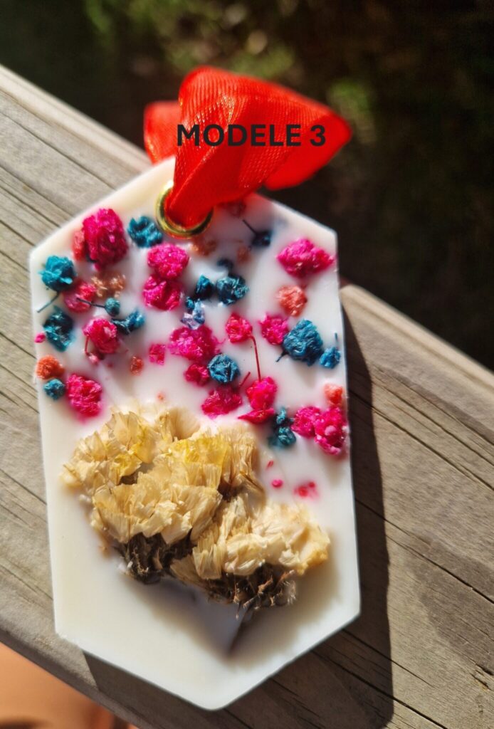 MODELE 3