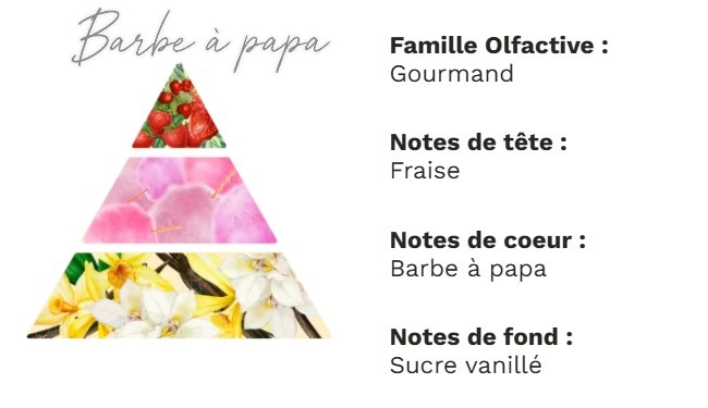 Pyramide olfactive - non libre de droit