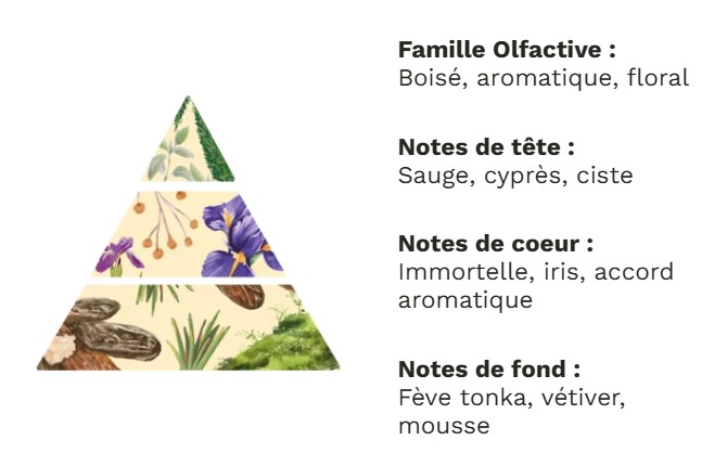 Cadre fondant au paysage forestier - parfum balade provençale 10 % – Image 5