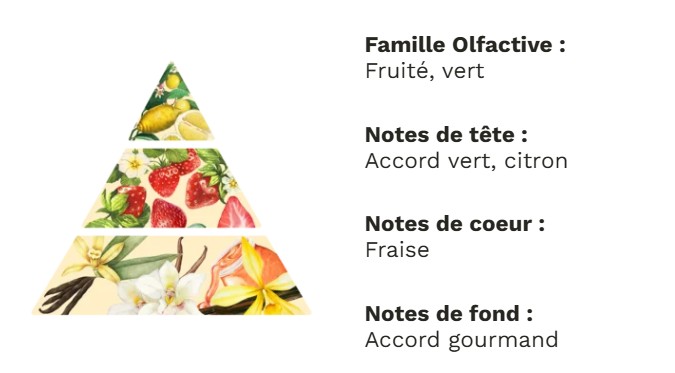 Pyramide olfactive