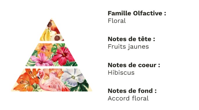 Pyramide olfactive